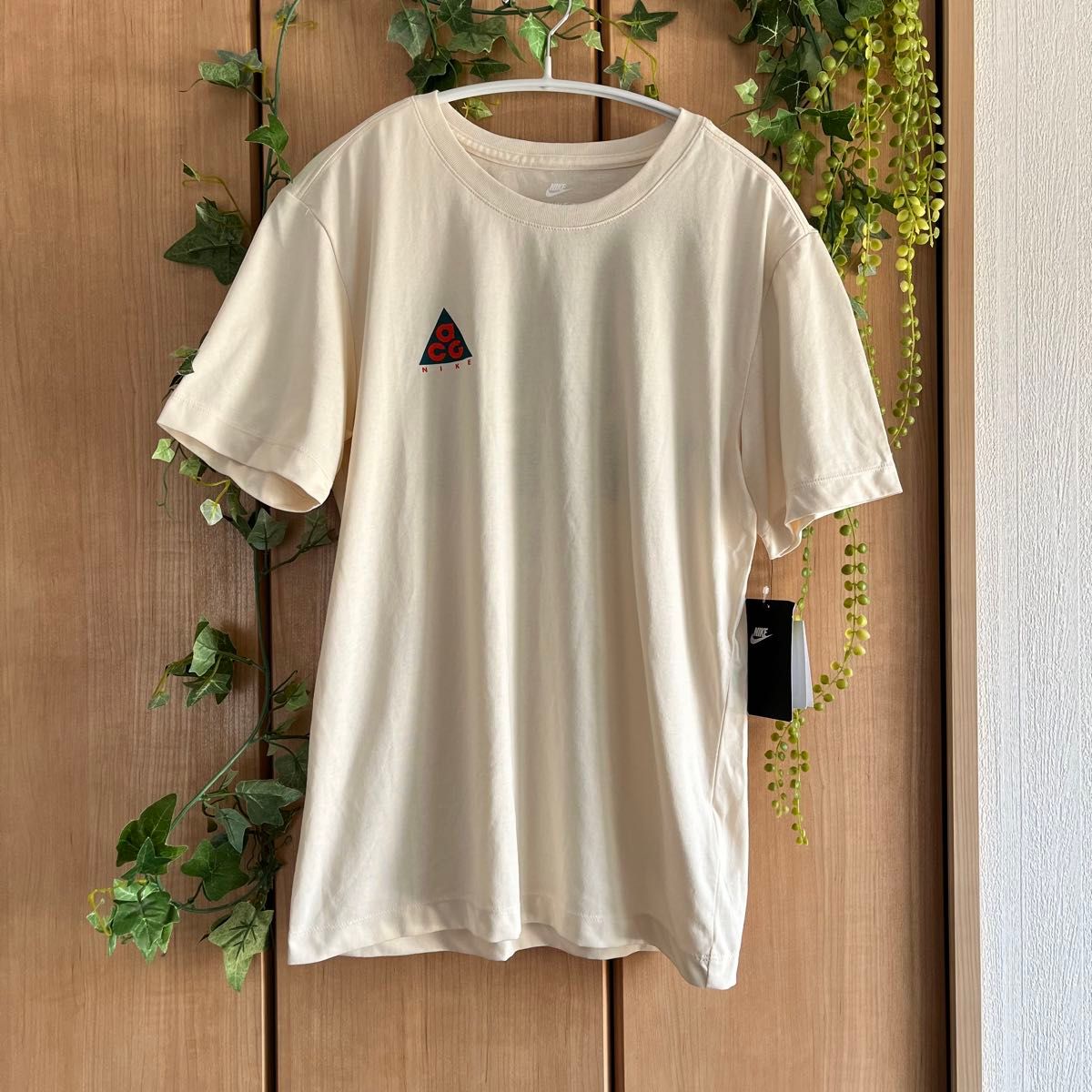 NIKE ACG 旧ロゴ ワンポイントロゴ バックプリント Tシャツ NIKE ACG 旧ロゴ ワンポイントロゴ バックプリント Tシャツ