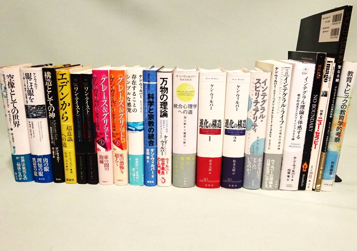 10200円 即決/赤の書 カール・グスタフ・ユング ソヌ 10200円 即決/赤の書 カール・グスタフ・ユング ソヌ