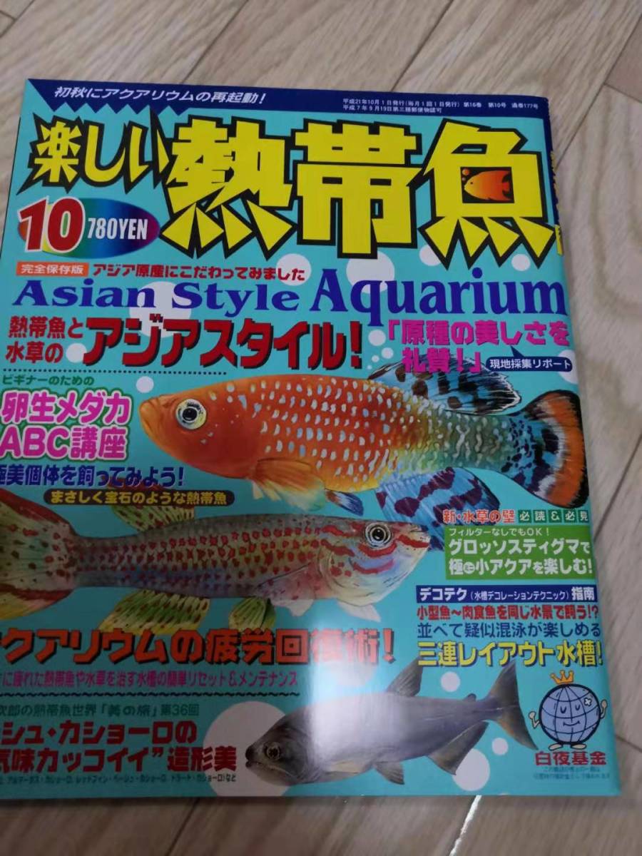 ヤフオク Hearts Hearts 中古美品 楽しい熱帯魚 09年 ヤフオク Hearts Hearts 中古美品 楽しい熱帯魚 09年