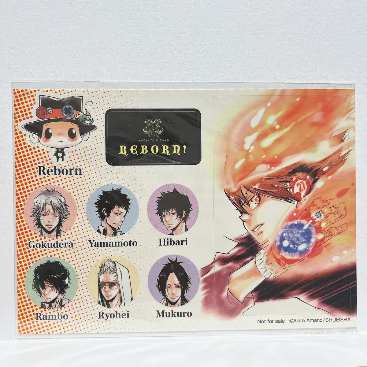 家庭教師ヒットマンREBORN シール ステッカー 10年後 未来編 家庭教師ヒットマンREBORN シール ステッカー 10年後 未来編