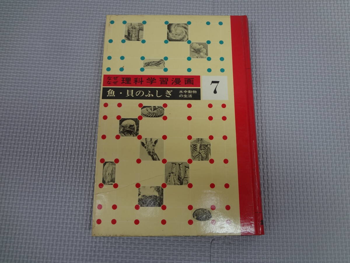 a21-f06【匿名配送・送料込】　魚・貝のふしぎ　水中動物の生活　　なぜなぜ理科学習漫画　7　昭和45年4月10日20版　集英社　カバーなし