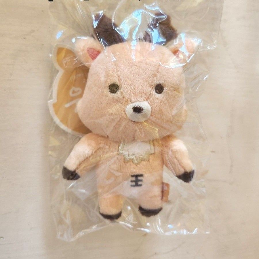 RIIZE doll key ring ぬいぐるみ ぬい ソンチャン Sungchan RIIZE doll key ring ぬいぐるみ ぬい ソンチャン Sungchan