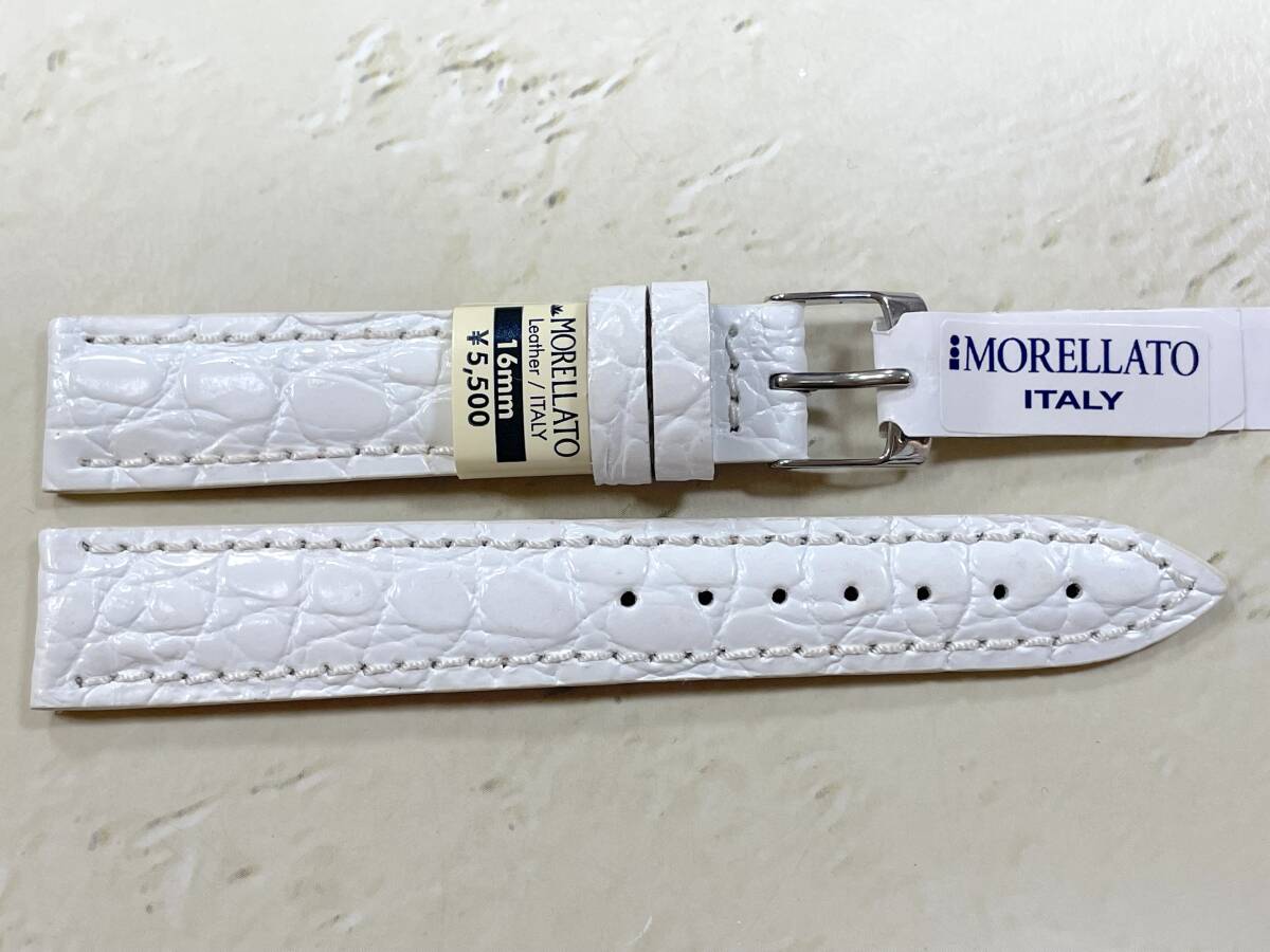 16mm MORELLATO White カーフ・クロコダイル型押 LIVERPOOL レディースサイズ