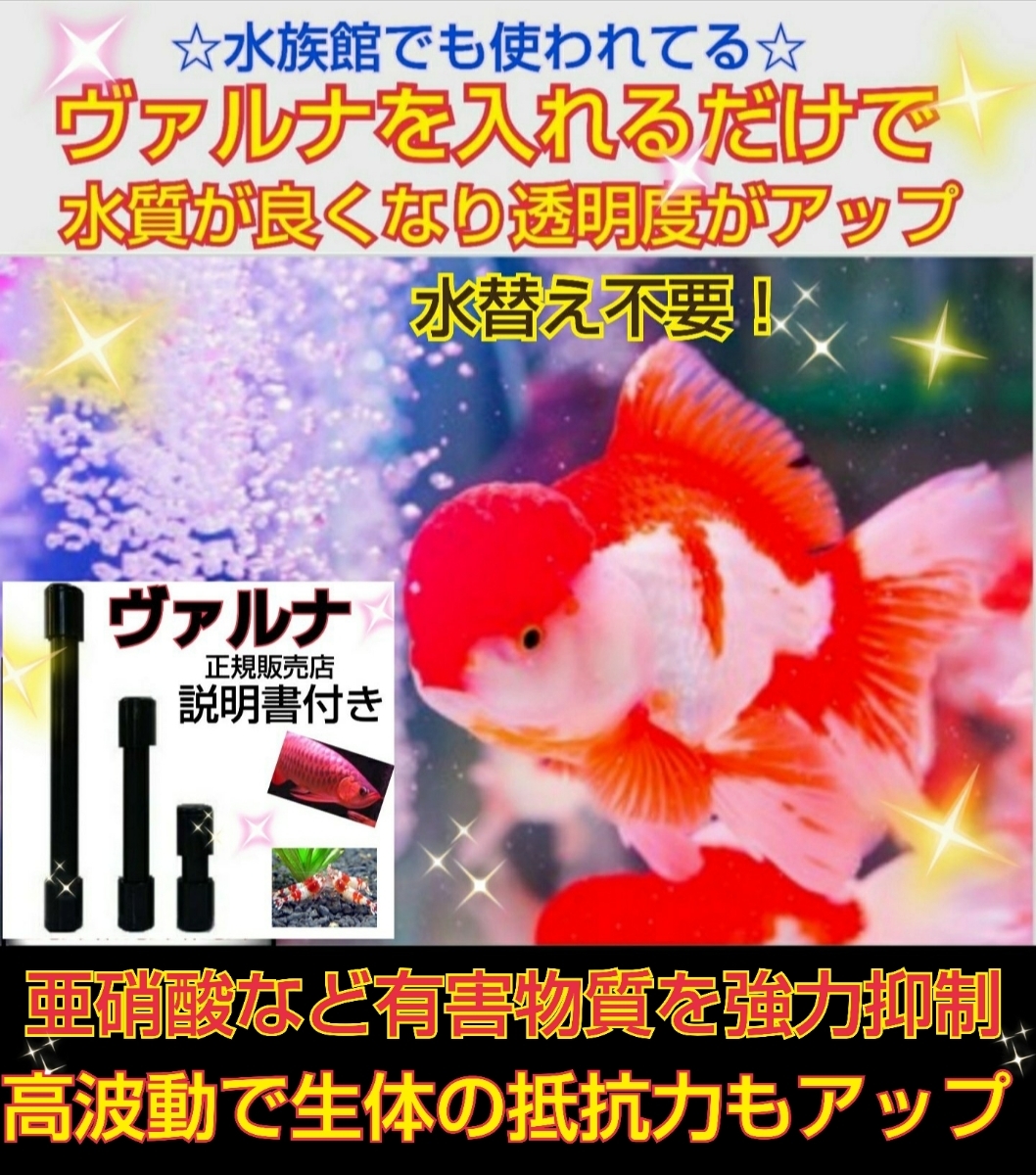 Yahoo!オークション - 正規販売店 説明書付き 池の水が綺麗に Yahoo!オークション - 正規販売店 説明書付き 池の水が綺麗に
