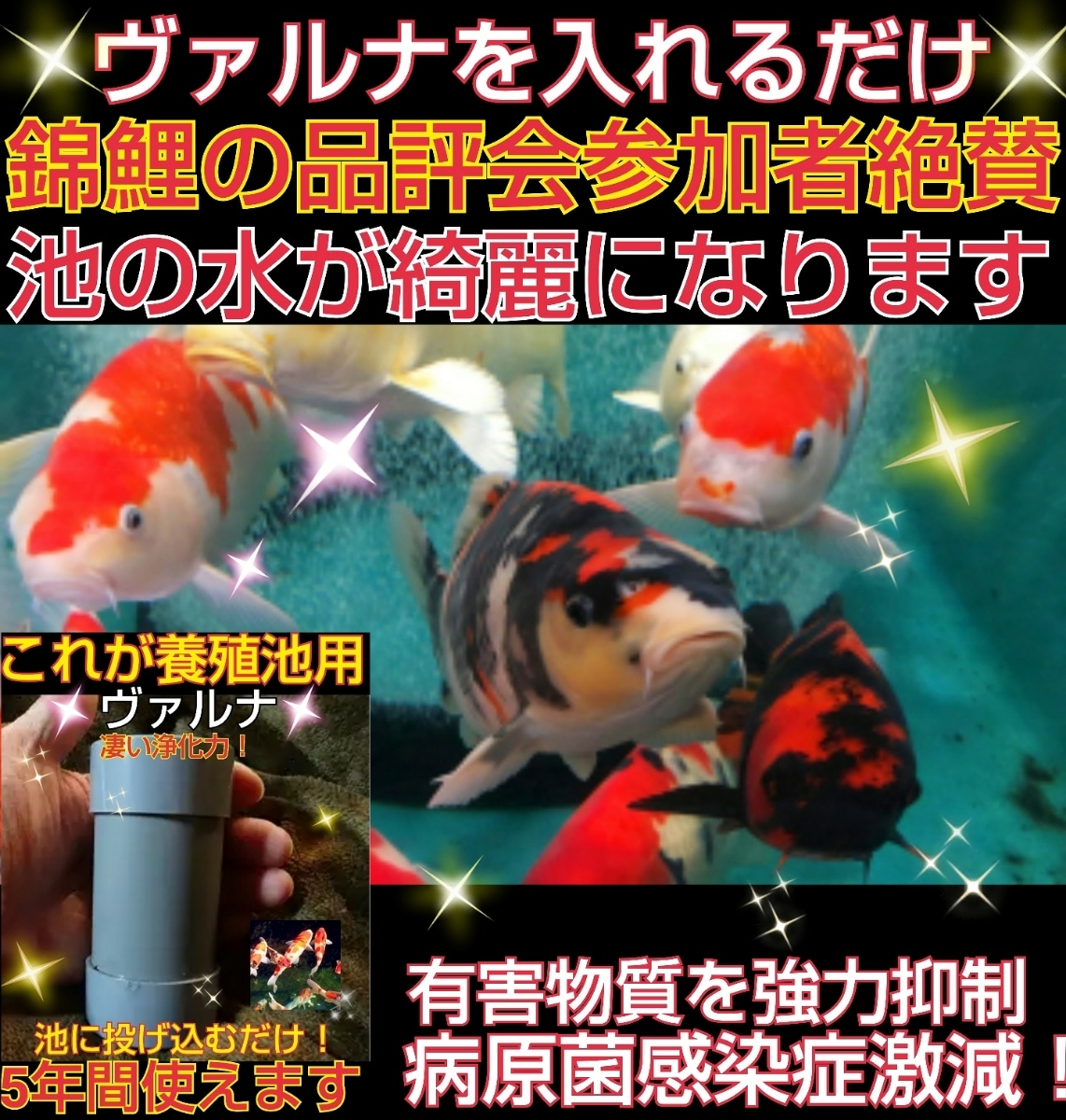 Yahoo!オークション - 正規販売店 説明書付き 池の水が綺麗に Yahoo!オークション - 正規販売店 説明書付き 池の水が綺麗に