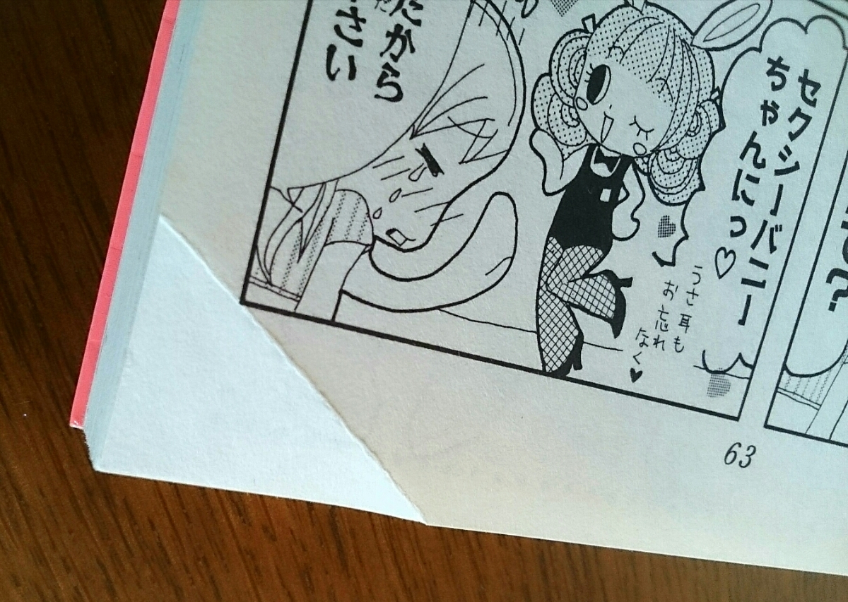 りぼん 別冊フレンド 少女漫画 コミックス 10冊セット アニマル りぼん 別冊フレンド 少女漫画 コミックス 10冊セット アニマル