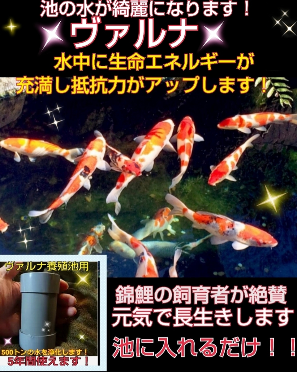 Yahoo!オークション - 正規販売店 説明書付き 池の水が綺麗に Yahoo!オークション - 正規販売店 説明書付き 池の水が綺麗に