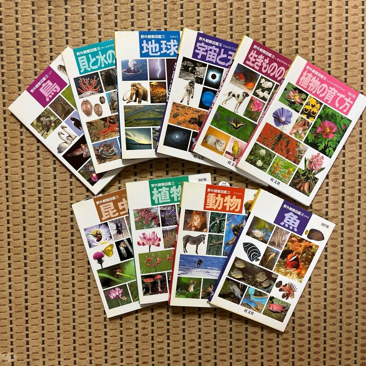 野外観察図鑑 旺文社|Yahoo!フリマ(旧PayPayフリマ) 野外観察図鑑 旺文社|Yahoo!フリマ(旧PayPayフリマ)
