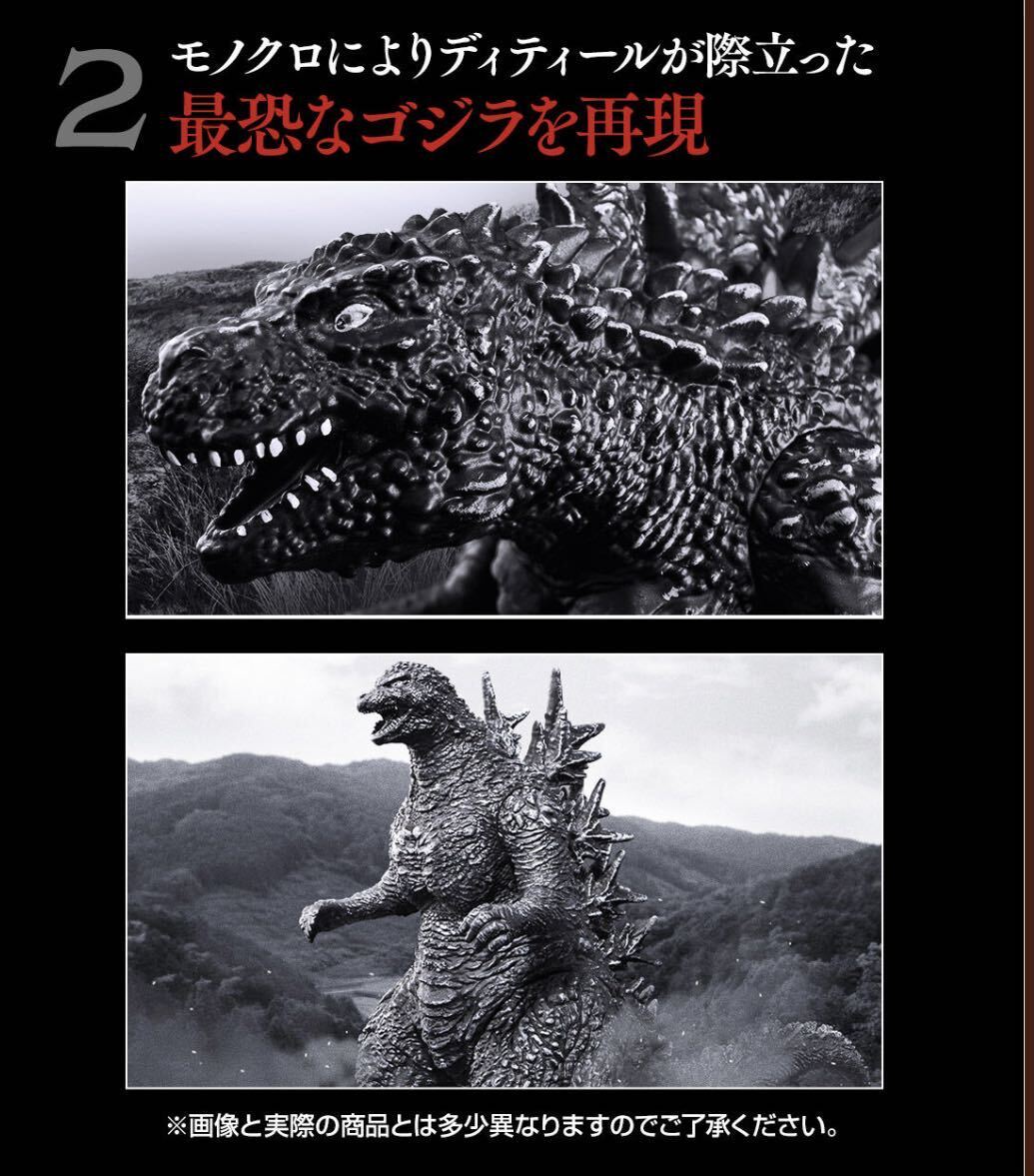 見本写真