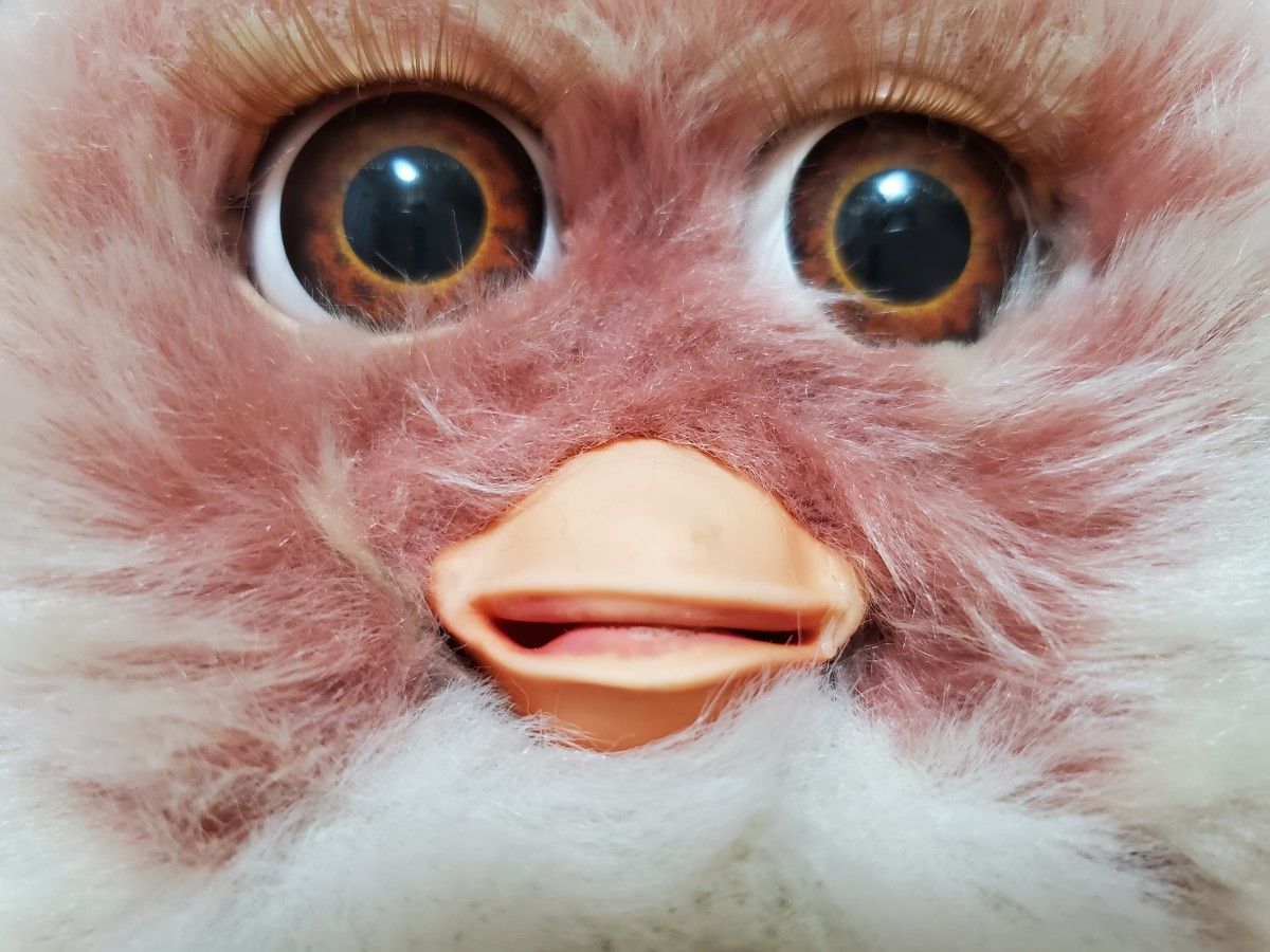 ファービー2 クランベリークッキー furby 2005 英語版|Yahoo ファービー2 クランベリークッキー furby 2005 英語版|Yahoo