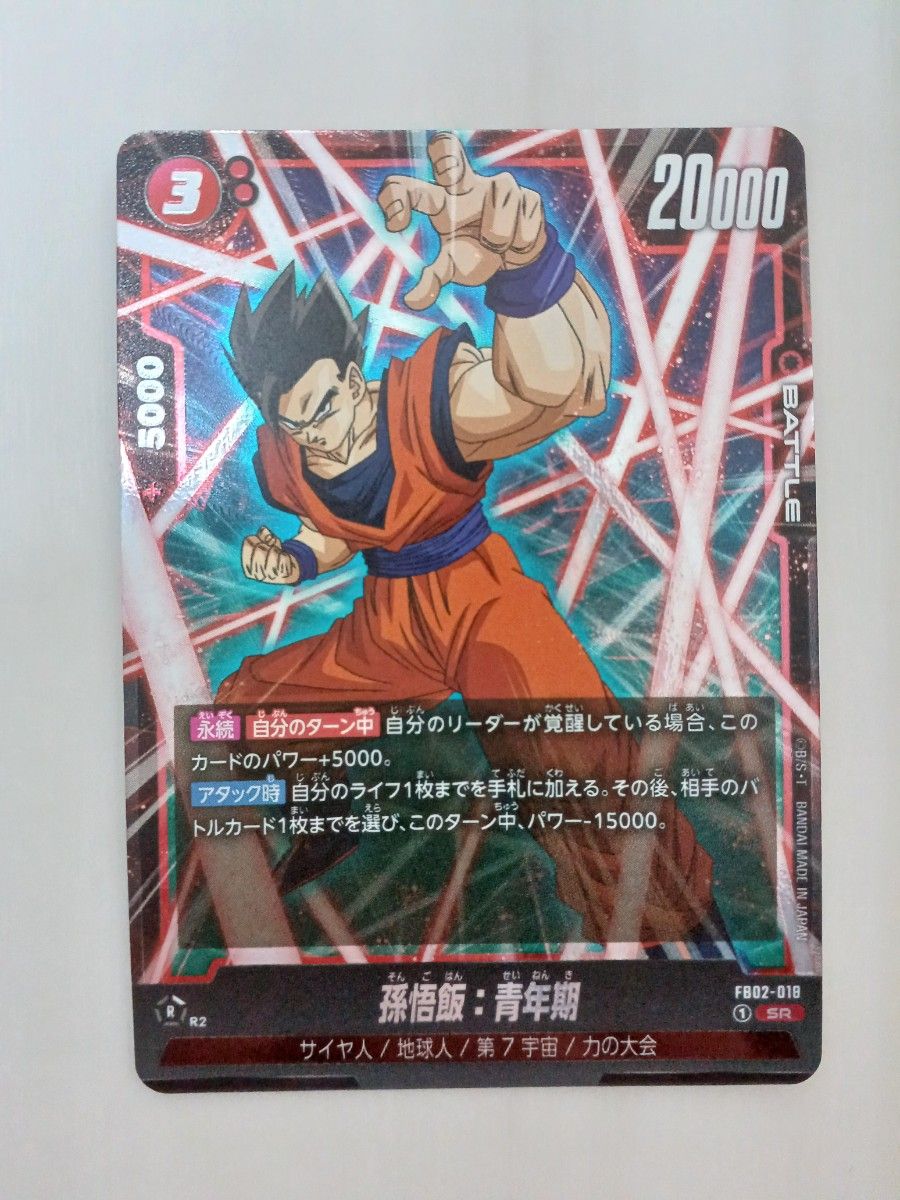 ドラゴンボールカードゲーム 烈火の闘気 シークレット SR ドラゴンボールカードゲーム 烈火の闘気 シークレット SR