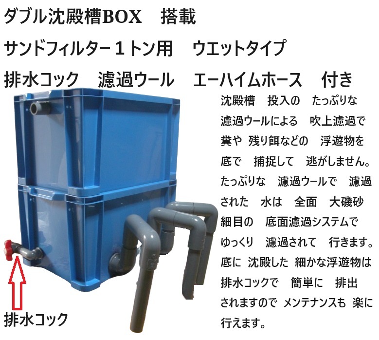 鯉 エサ 芋・胚芽 絹光観鯉 蛹入 M 5kg×4袋 同梱不可 魚・水草 鯉 エサ 芋・胚芽 絹光観鯉 蛹入 M 5kg×4袋 同梱不可 魚・水草