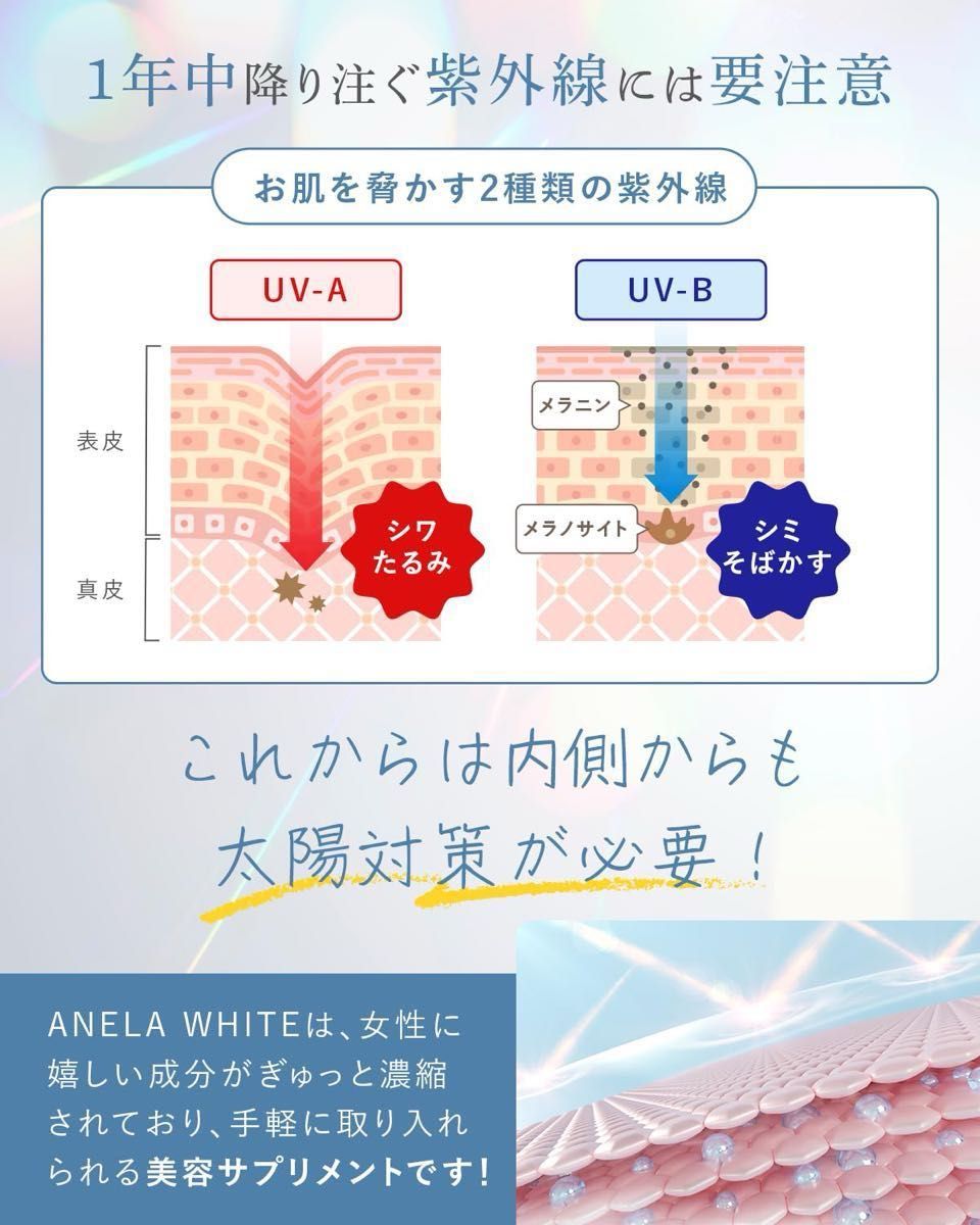 アネラホワイト 飲む日焼け止め 美白 サプリ 国内GMP認定工場製造 プラセンタ