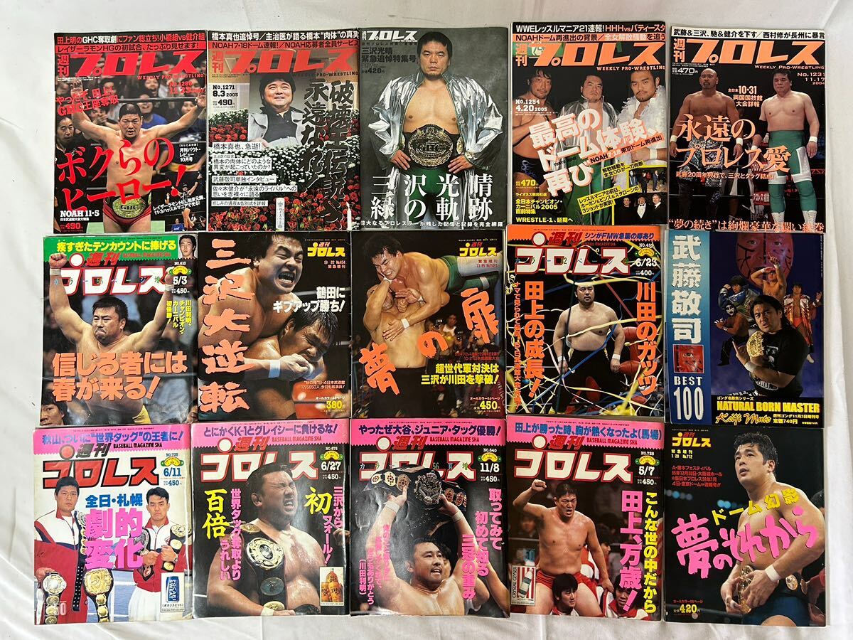 週刊プロレス まとめ 武藤敬司 高田 田上 豬木 川田利明 三沢 川田 橋本真也