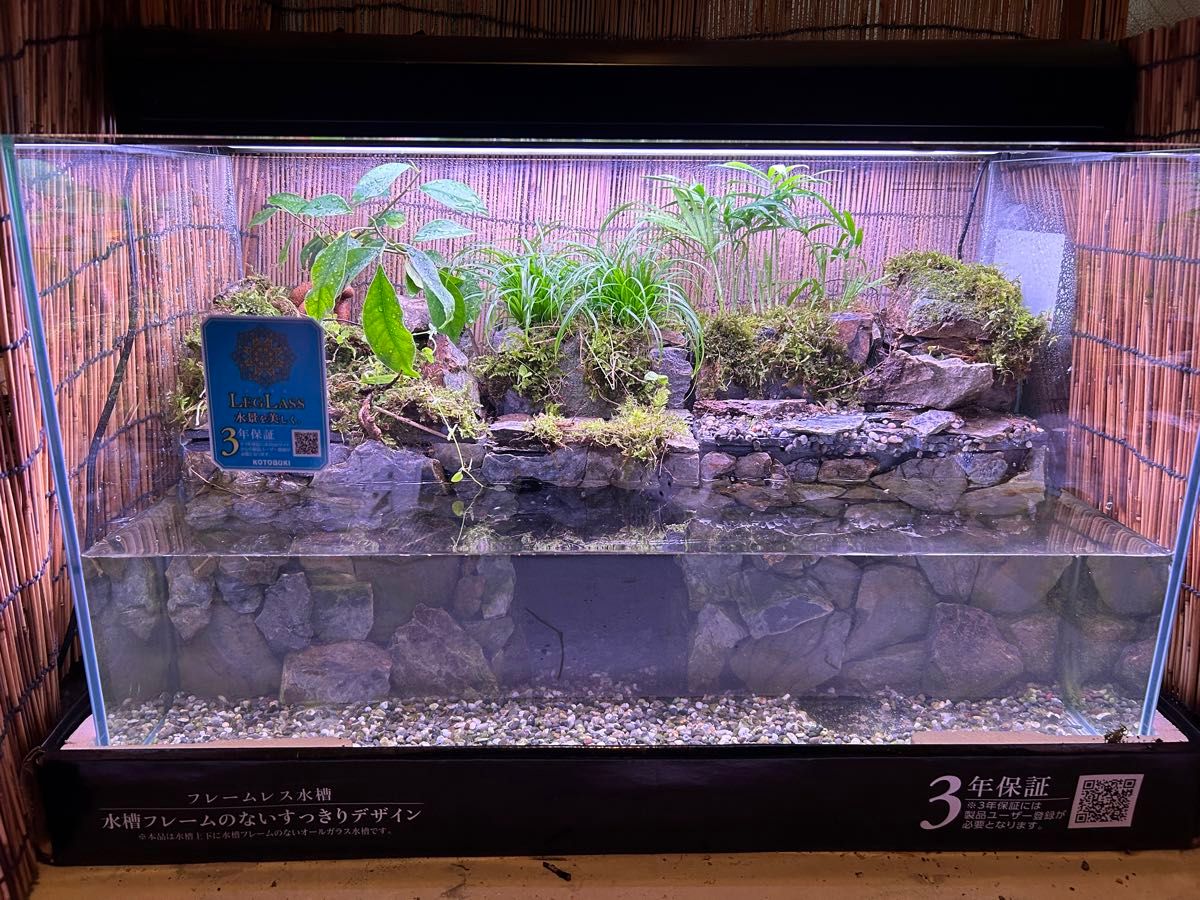 水の流れる滝テラリウム水槽 60センチオールガラス|Yahoo 水の流れる滝テラリウム水槽 60センチオールガラス|Yahoo