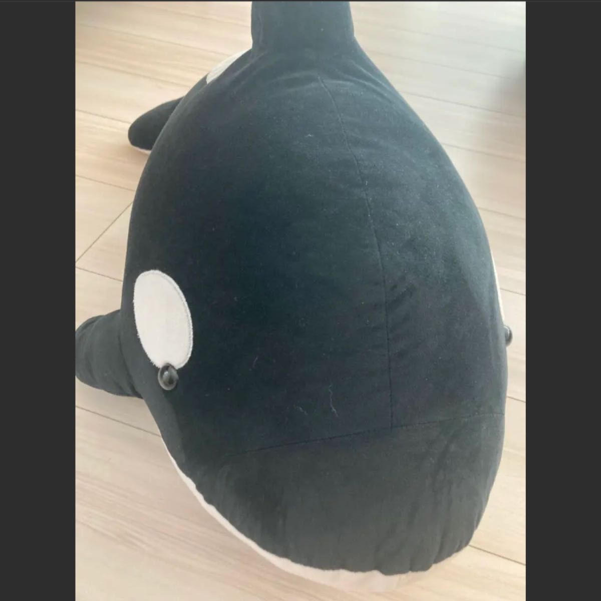 鴨川シーワールド シャチ ぬいぐるみ BIG|Yahoo!フリマ(旧 鴨川シーワールド シャチ ぬいぐるみ BIG|Yahoo!フリマ(旧