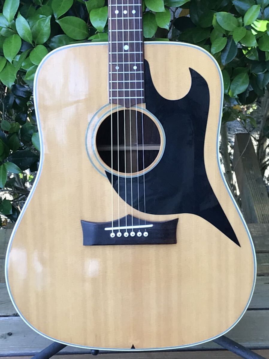 the greco G-40 ザ・グレコ The greco guitar ザ・グレコ G-40 グラマーコピー|Yahoo