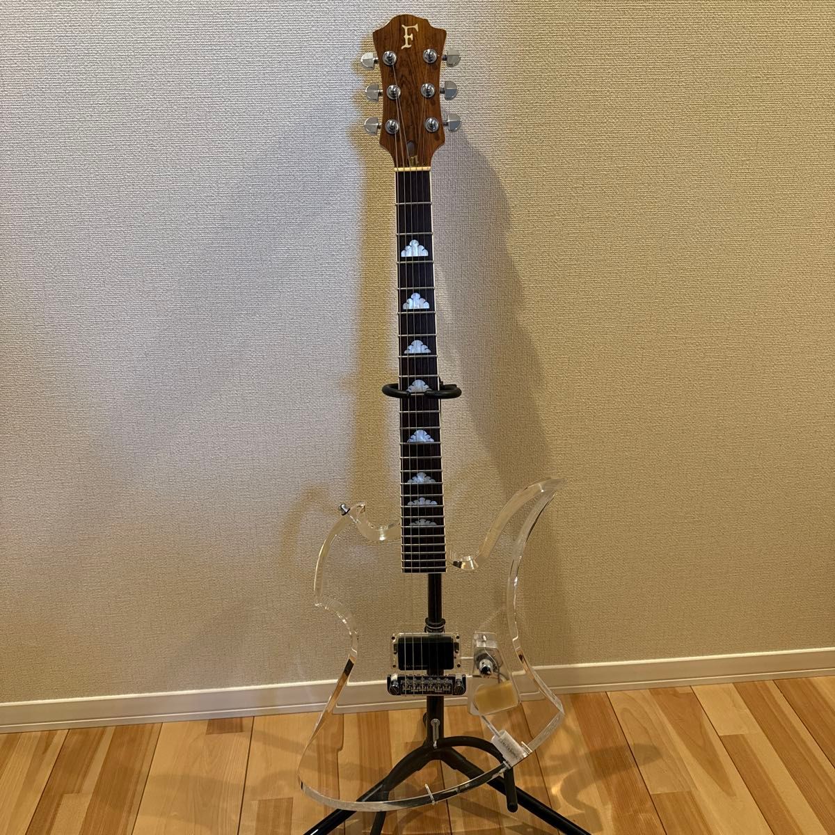 FERNANDES MG-115C CN エレキギター X JAPAN hide アクリル FERNANDES MG-115C CN エレキギター X JAPAN hide アクリル