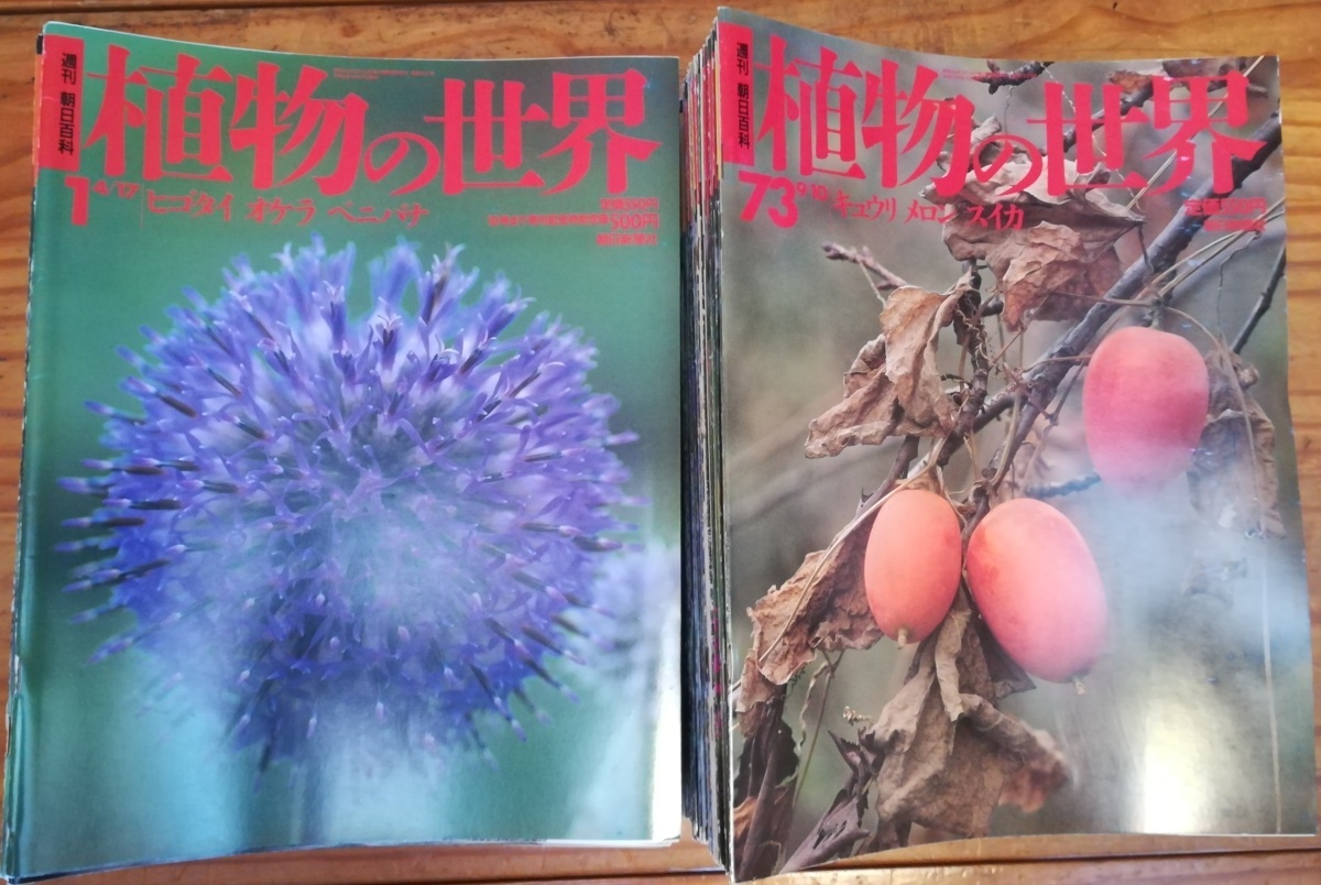 古本)週刊朝日百科 植物の世界 全144冊組 朝日新聞社 Z03524 古本)週刊朝日百科 植物の世界 全144冊組 朝日新聞社 Z03524