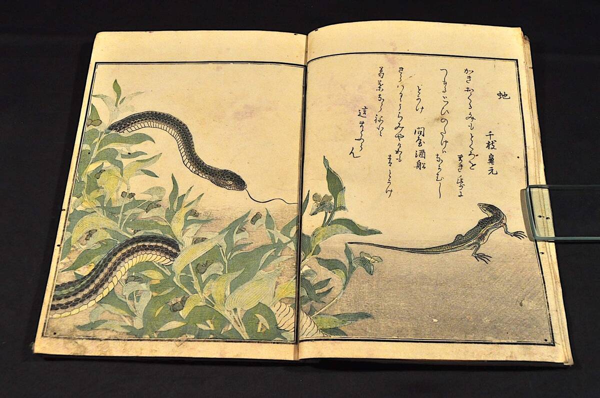 150000円 画本虫撰 下巻 喜多川歌麿画 文政癸未(六年)八月刋 150000円 画本虫撰 下巻 喜多川歌麿画 文政癸未(六年)八月刋