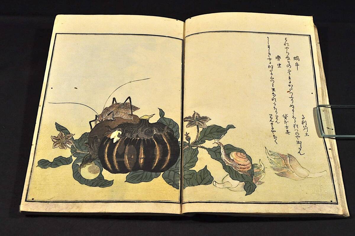150000円 画本虫撰 下巻 喜多川歌麿画 文政癸未(六年)八月刋 150000円 画本虫撰 下巻 喜多川歌麿画 文政癸未(六年)八月刋