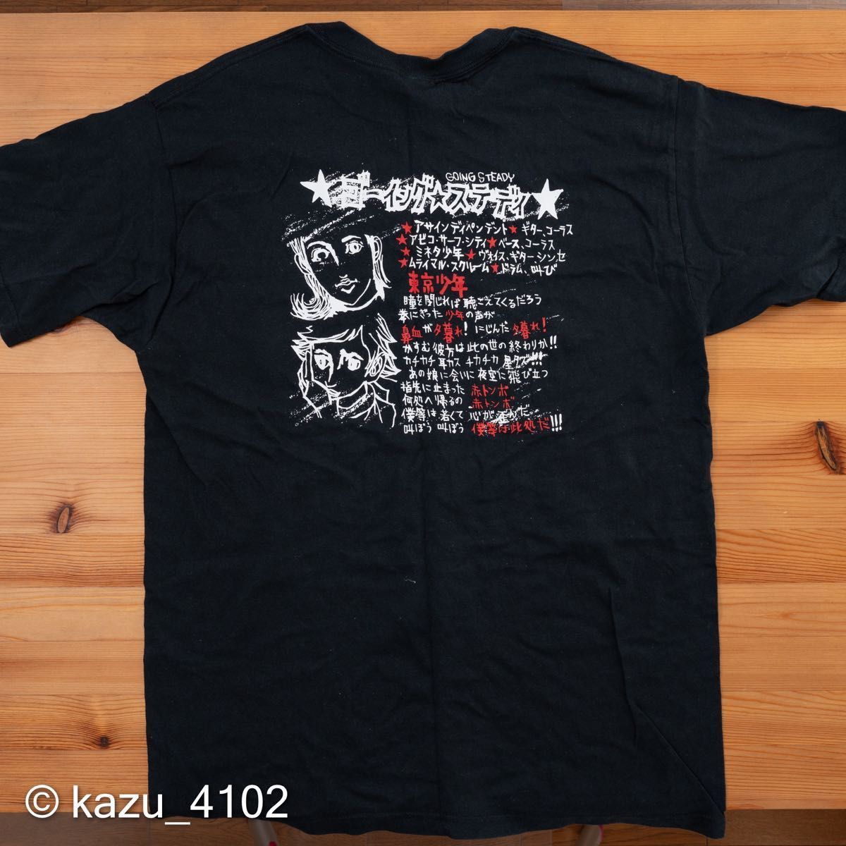 GOING STEADY ゴイ ステ Tシャツ Lサイズ [ 銀杏BOYZ 峯田和伸 GOING STEADY ゴイ ステ Tシャツ Lサイズ [ 銀杏BOYZ 峯田和伸