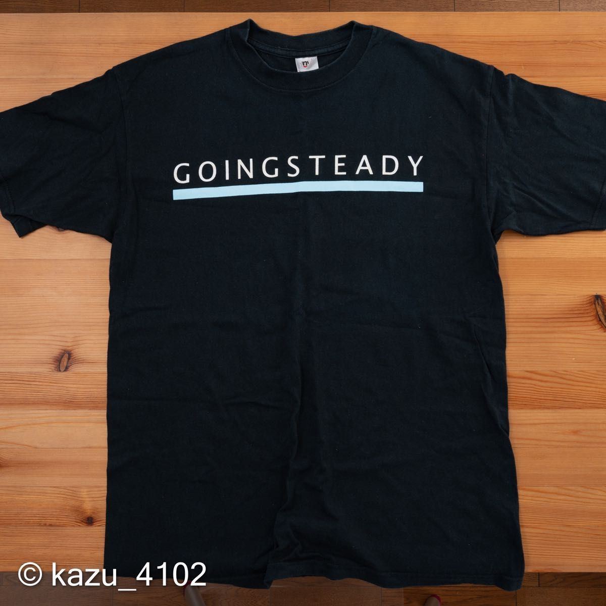 GOING STEADY もしも君が泣くならば Tシャツ Lサイズ [ 銀杏BOYZ 峯田和伸 ゴイステ もしもT ]