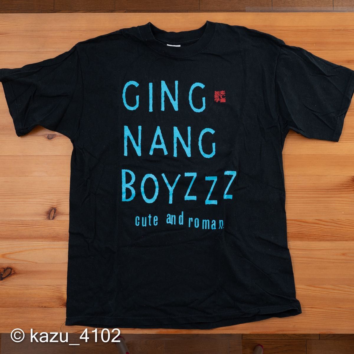 超美品 銀杏BOYZ 初期 ライブ Tシャツ Lサイズ [ GOING STEADY 超美品 銀杏BOYZ 初期 ライブ Tシャツ Lサイズ [ GOING STEADY