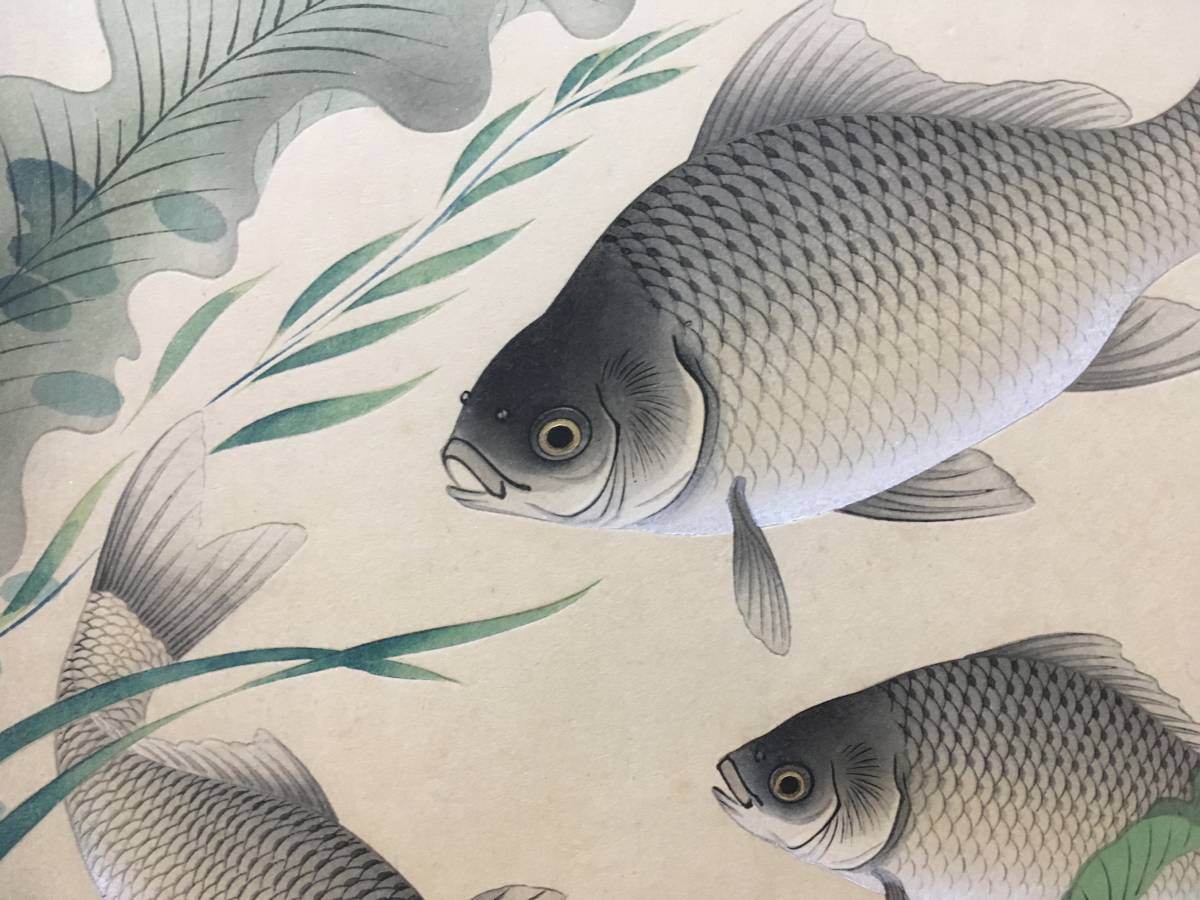 フナ】「大日本魚類画集」 大野麦風 大野麥風 木版画 原色木版二 フナ】「大日本魚類画集」 大野麦風 大野麥風 木版画 原色木版二