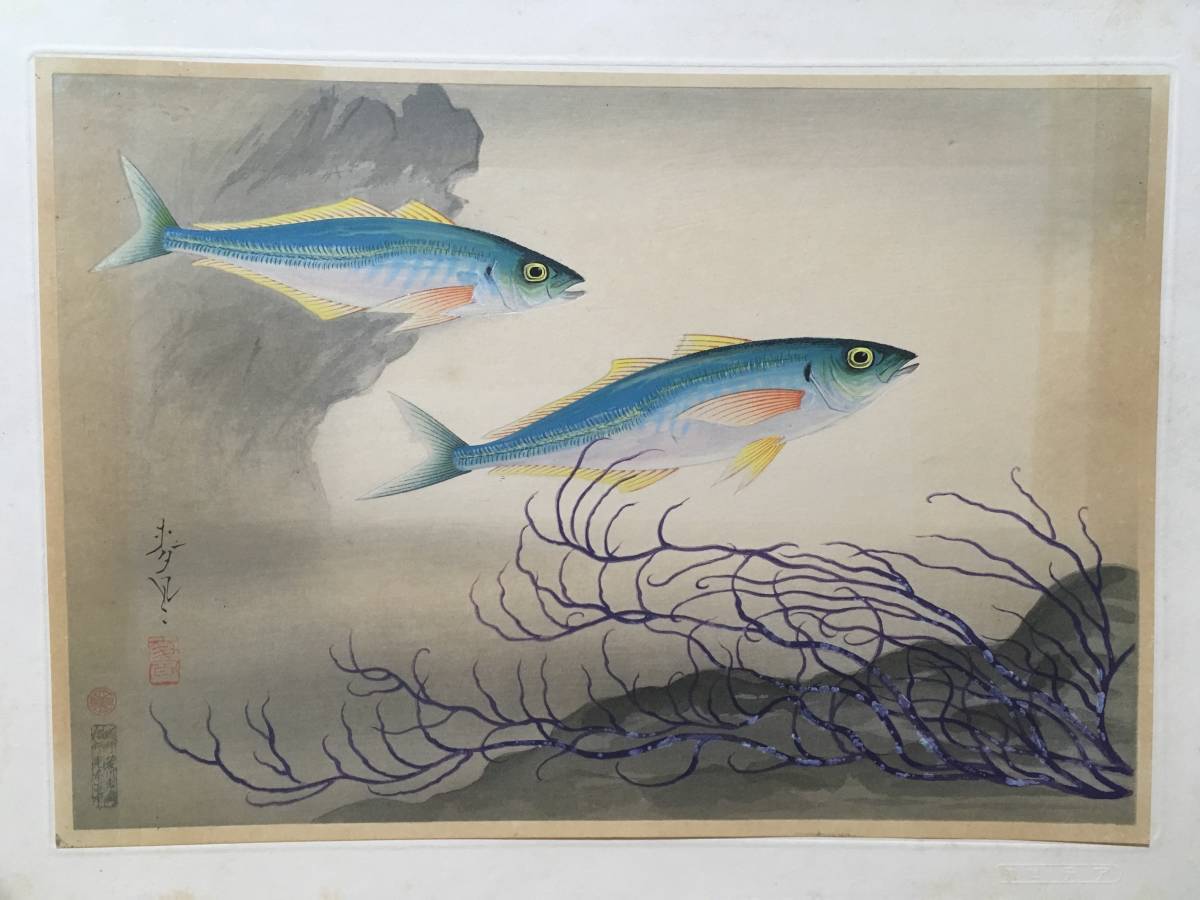 【アジ】「大日本魚類画集」 大野麦風 大野麥風 木版画 原色木版二百度手摺り