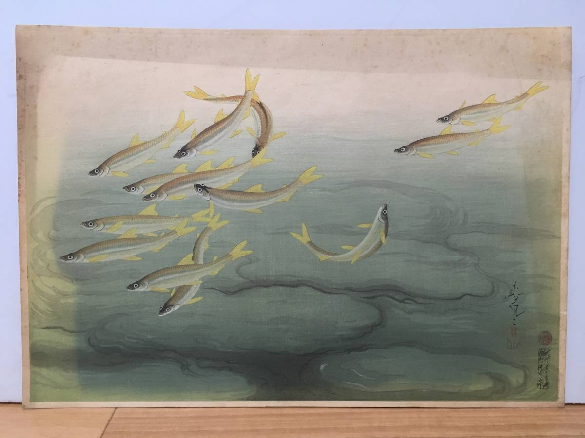 【ワカサギ】「大日本魚類画集」 大野麥風 木版画 大野麦風 おおのばくふう Ono Bakufu Ohno　※タトウなし