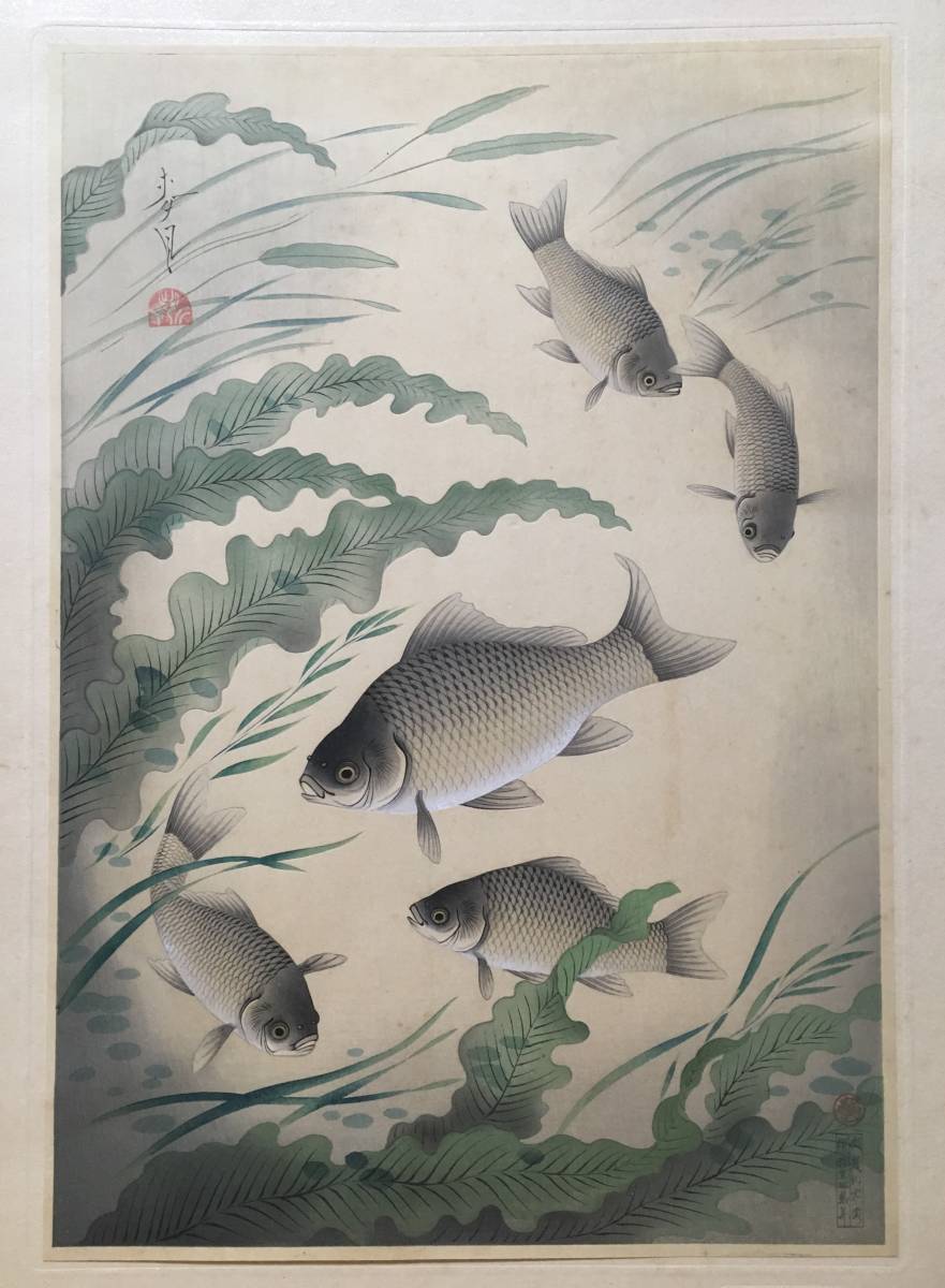 フナ】「大日本魚類画集」 大野麦風 大野麥風 木版画 原色木版二 フナ】「大日本魚類画集」 大野麦風 大野麥風 木版画 原色木版二