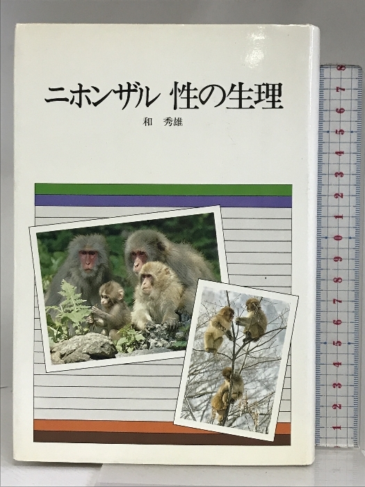 58950円 ファジーノ 3D 『ハート オブ パリ』 作品番号あり - 絵画 58950円 ファジーノ 3D 『ハート オブ パリ』 作品番号あり - 絵画