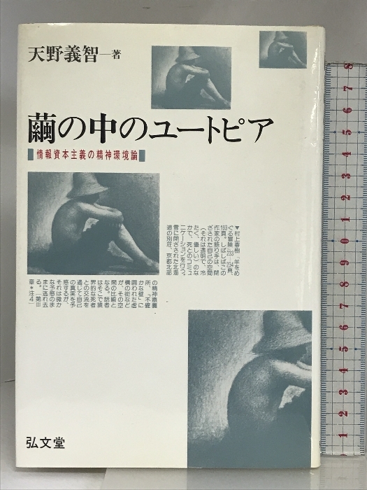 人気大割引 情報資本主義の精神環境論 繭の中のユートピア: 弘文堂 義智 天野 社会学