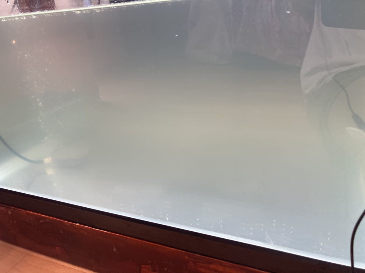 業者高評価水槽ろ材 高品質納豆菌入り多孔質角棒ろ材20+4新品未 業者高評価水槽ろ材 高品質納豆菌入り多孔質角棒ろ材20+4新品未