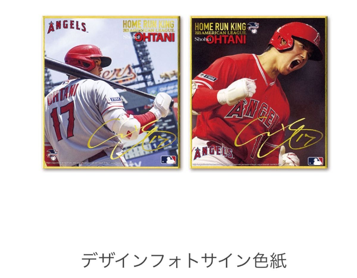 大谷翔平 2023 ホームラン王記念 フレーム記念切手 エンゼルス 大谷翔平 2023 ホームラン王記念 フレーム記念切手 エンゼルス