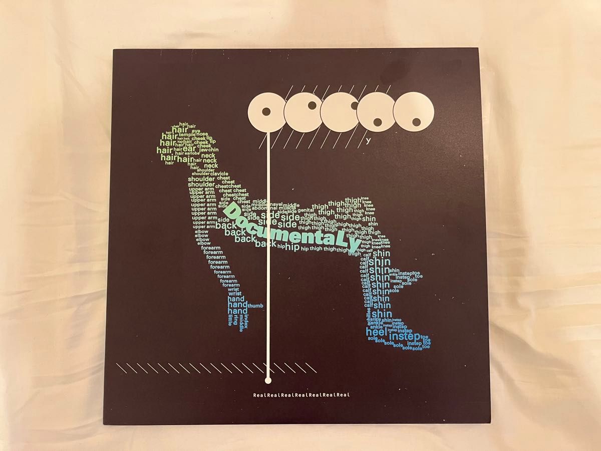 激レア サカナクション DocumentaLy アナログ盤 LPレコード 激レア サカナクション DocumentaLy アナログ盤 LPレコード