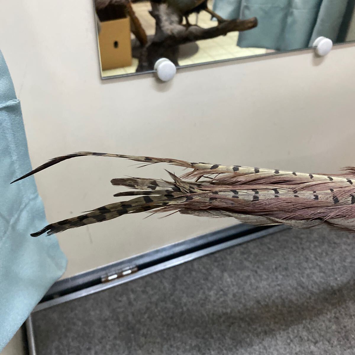item_image_10