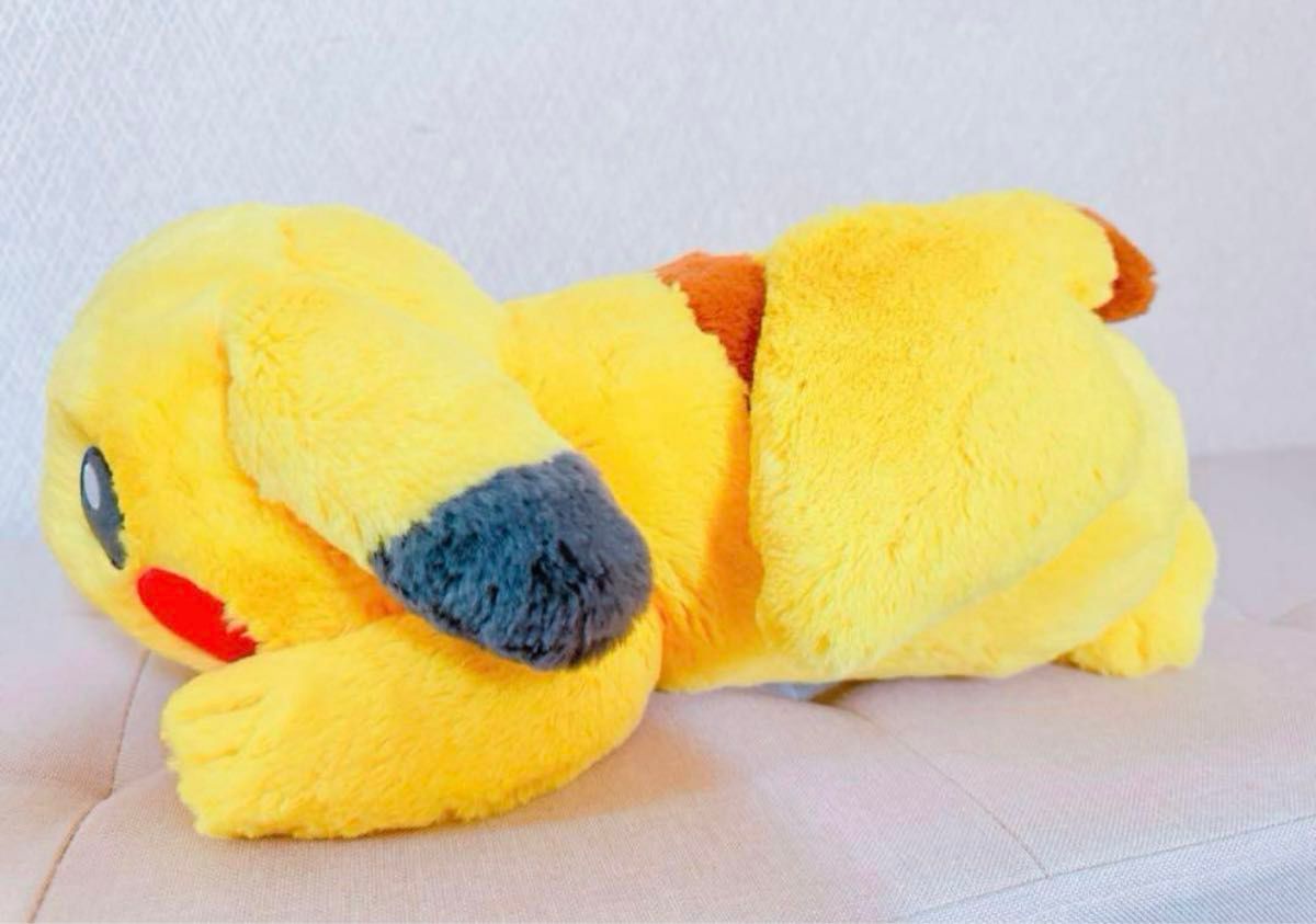 ポケモンセンター オリジナル ふわふわ抱きぬいぐるみ ポケモンセンター オリジナル ふわふわ抱きぬいぐるみ