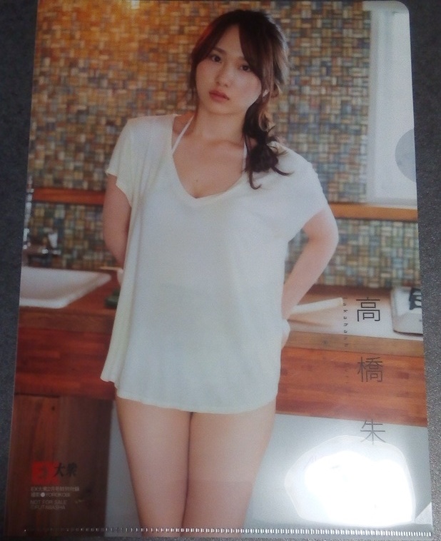 EX大衆2019-2月号付録「AKB48 高橋朱里×村山彩希」B5クリアファイルの画像1