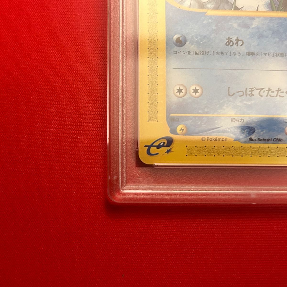 マリル eカード PSA10 ポケモンカード|Yahoo!フリマ(旧PayPay マリル eカード PSA10 ポケモンカード|Yahoo!フリマ(旧PayPay