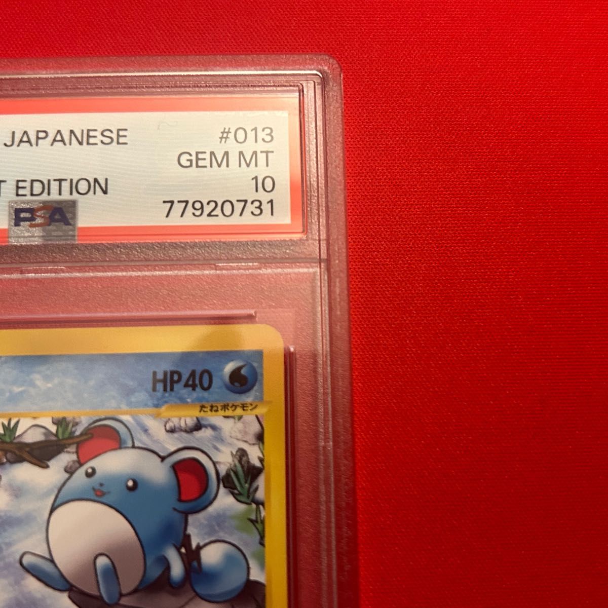 マリル eカード PSA10 ポケモンカード|Yahoo!フリマ(旧PayPay マリル eカード PSA10 ポケモンカード|Yahoo!フリマ(旧PayPay
