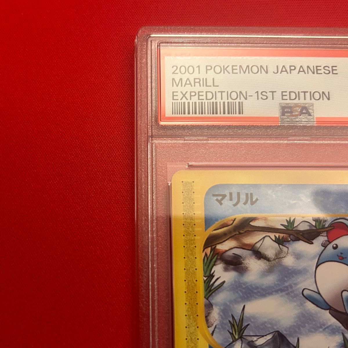 マリル eカード PSA10 ポケモンカード|Yahoo!フリマ(旧PayPay マリル eカード PSA10 ポケモンカード|Yahoo!フリマ(旧PayPay