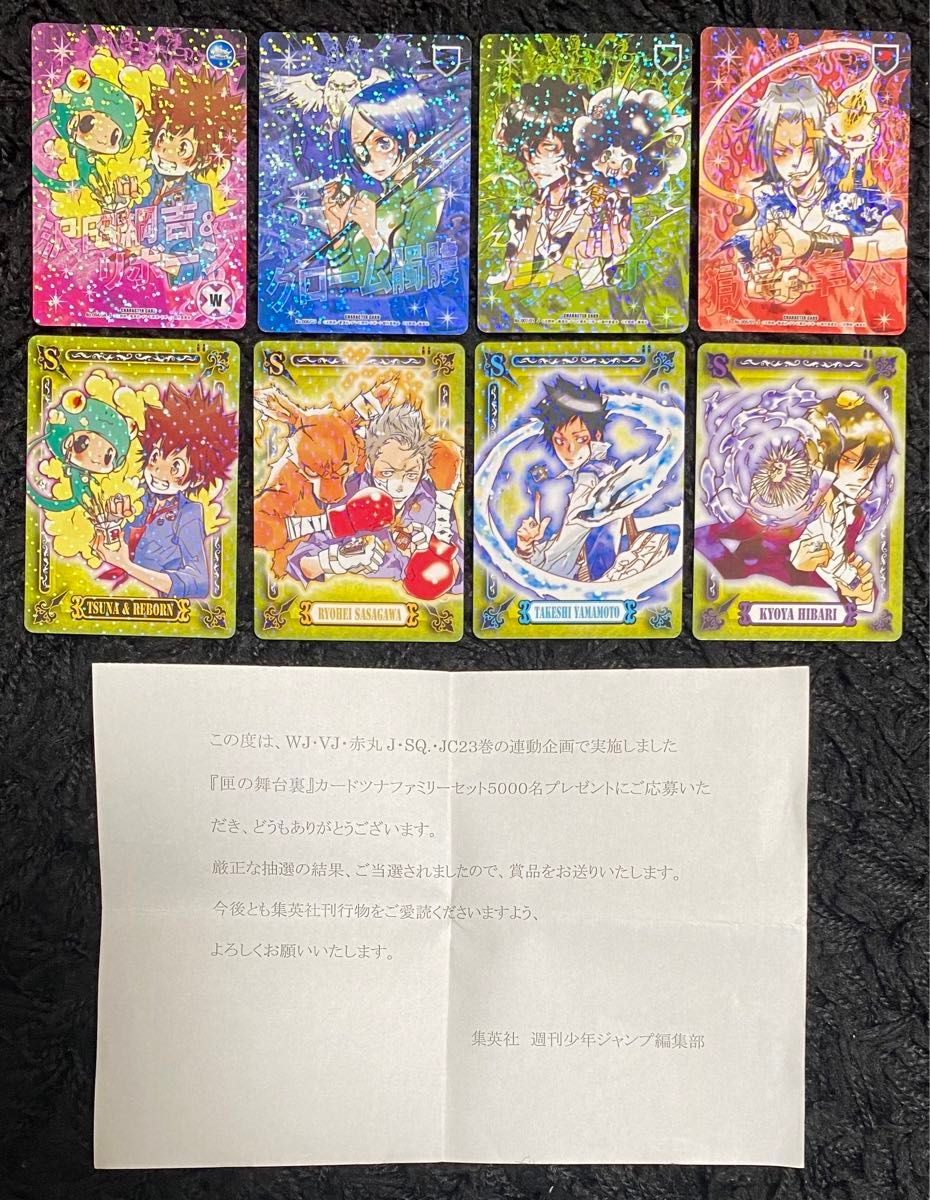 家庭教師ヒットマンREBORN カード 沢田綱吉 ツナ リボーン 獄寺 家庭教師ヒットマンREBORN カード 沢田綱吉 ツナ リボーン 獄寺