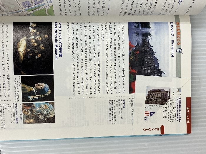 オランダ・ベルギー・ルクセンブルク '98~'99版 (地球の歩き方 オランダ・ベルギー・ルクセンブルク '98~'99版 (地球の歩き方