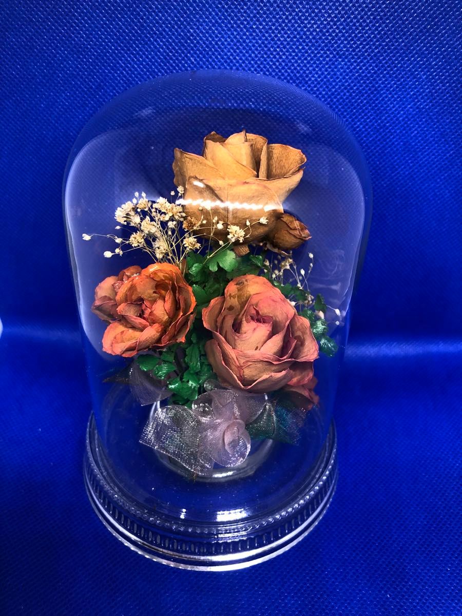 春のレンデフロール祭り#第3弾 Reine De Fleur社製　14cmガラスドーム入り薔薇かすみ草ドライフラワー
