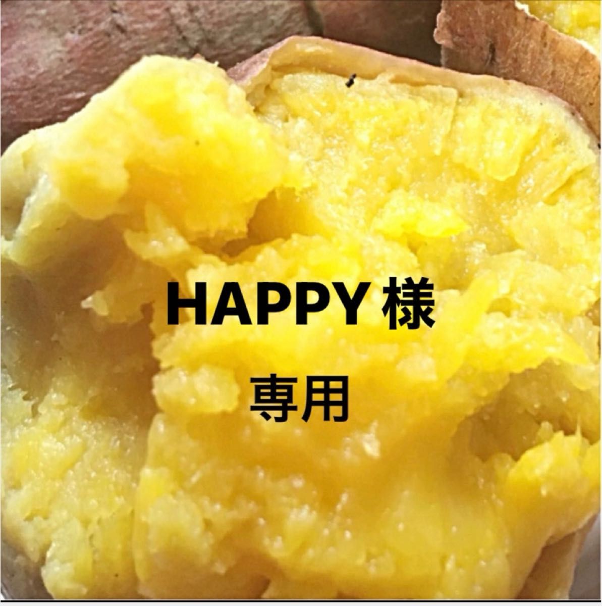 HAPPY様専用|Yahoo!フリマ(旧PayPayフリマ) HAPPY様専用|Yahoo!フリマ(旧PayPayフリマ)