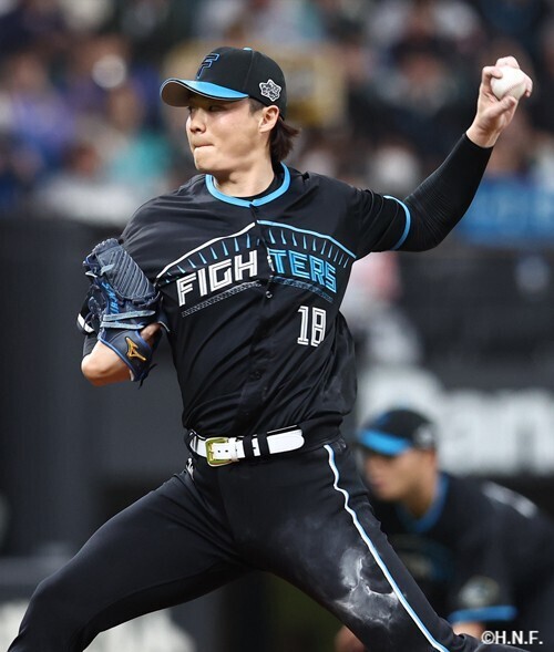 北海道日本ハムファイターズ グッズ【公式】 в X: „/ 📢販売 北海道日本ハムファイターズ グッズ【公式】 в X: „/ 📢販売