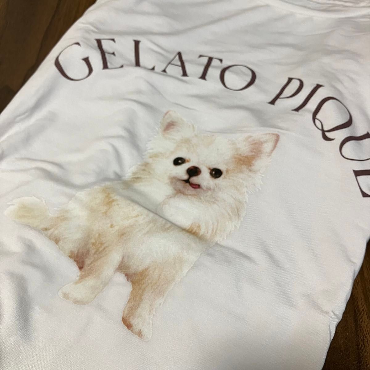 新品未使用 ジェラートピケ DOG柄 上下セット チワワ ショート 新品未使用 ジェラートピケ DOG柄 上下セット チワワ ショート