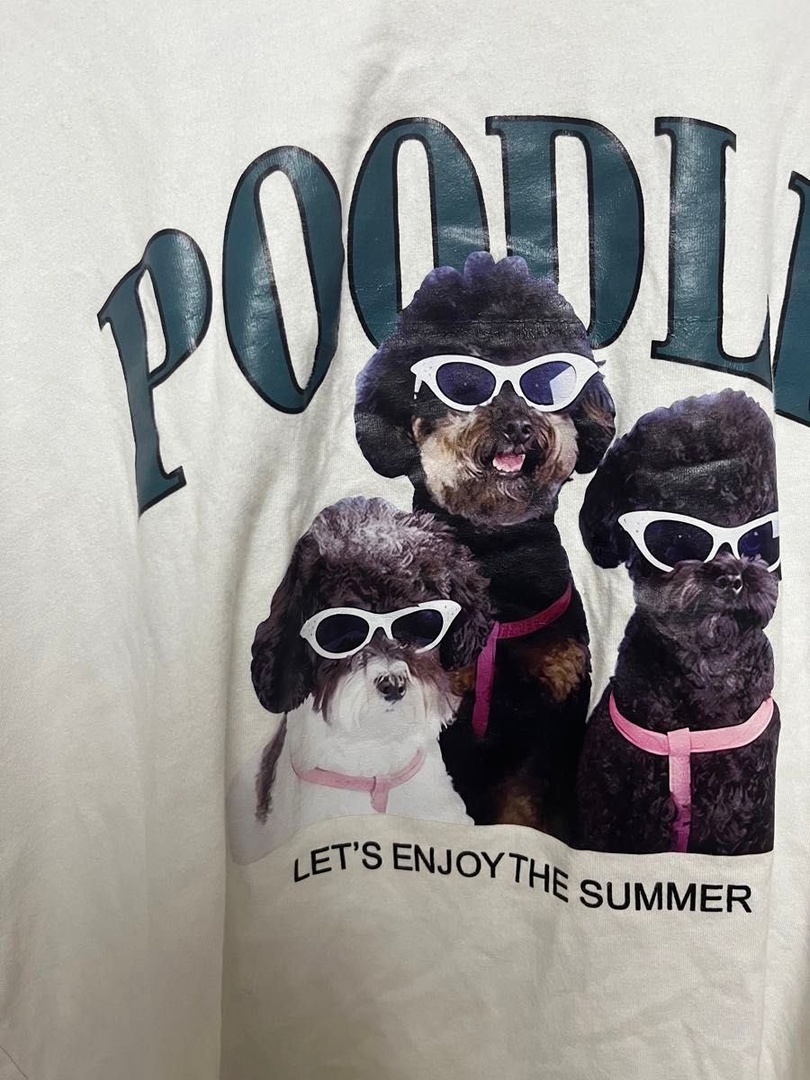 早い者勝ち【D&G】プリント 半袖Tシャツ ホワイト 早い者勝ちTシャツトイプードル 半袖プリントTシャツ 古着